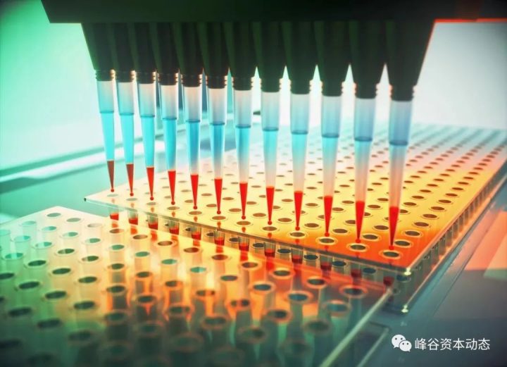 「木槿化学」完成数千万元人民币A轮融资，持续提升小分子CDMO服务能力 | 峰谷family